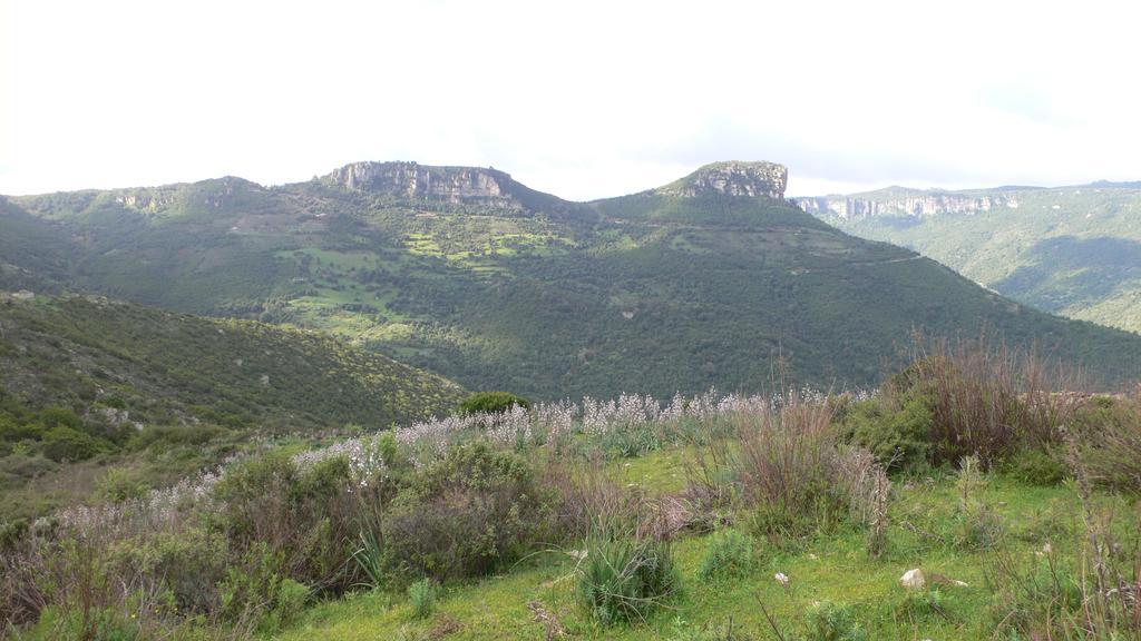 Agriturismo Ticci Seùlo Εξωτερικό φωτογραφία