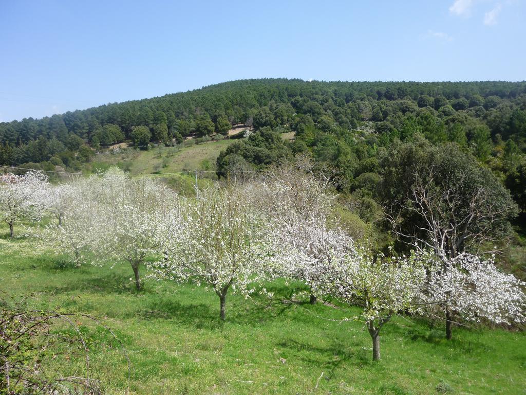 Agriturismo Ticci Seùlo Εξωτερικό φωτογραφία