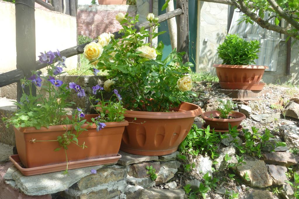 Agriturismo Ticci Seùlo Δωμάτιο φωτογραφία