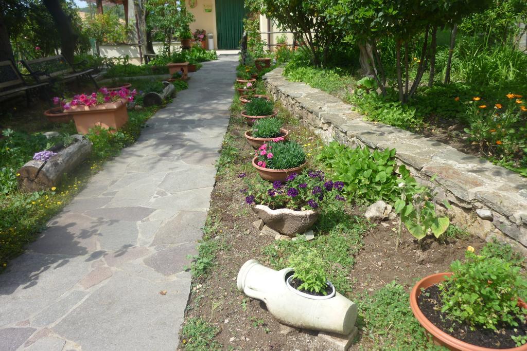 Agriturismo Ticci Seùlo Εξωτερικό φωτογραφία